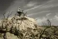 freerider1.png