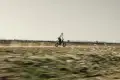 freerider2.png