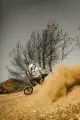 freerider6.png
