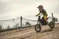 cross pro2.jpg