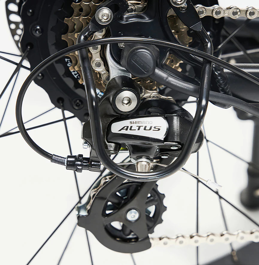 Przeżutka w jobobike robin